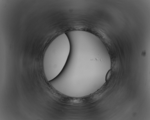 X0000090410365200707130930