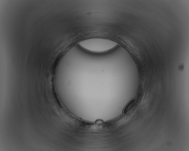 X0000090410366200707130930