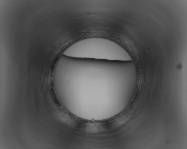 X0000090410367200707130930