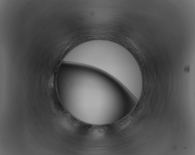 X0000090410368200707130930