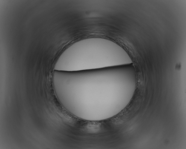 X0000090410369200707130930
