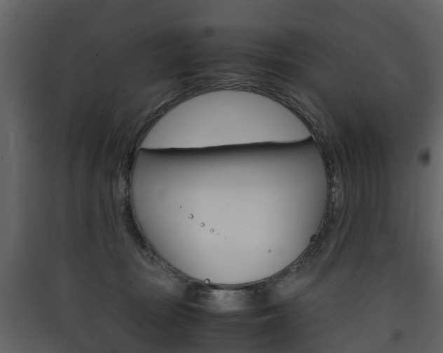 X0000090410371200707130930