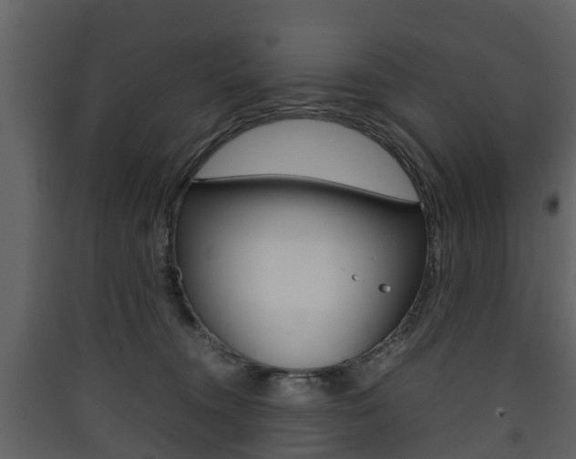 X0000090410372200707130930