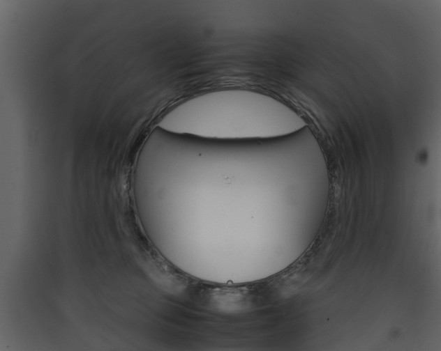 X0000090410373200707130930