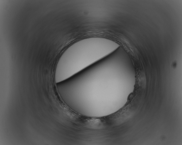 X0000090410374200707130930