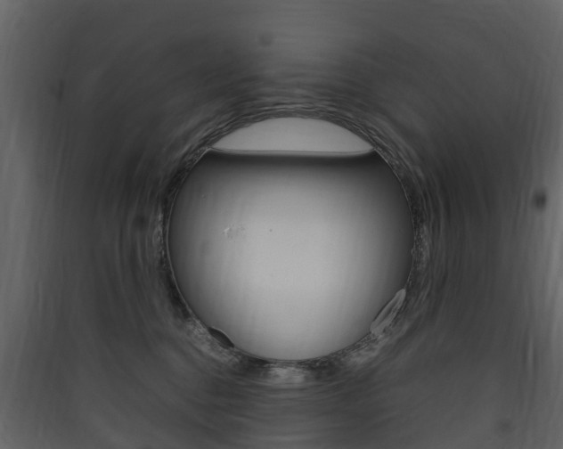 X0000090410376200707130930