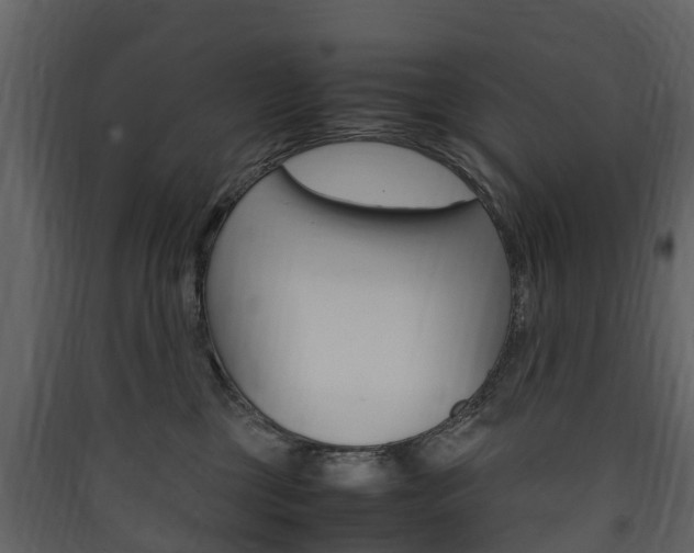 X0000090410377200707130930