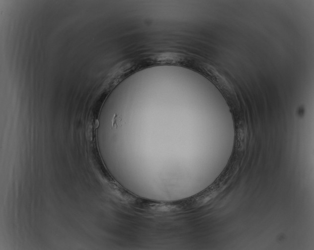 X0000090410379200707130930