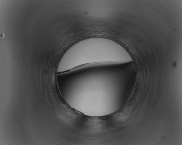 X0000090410380200707130930