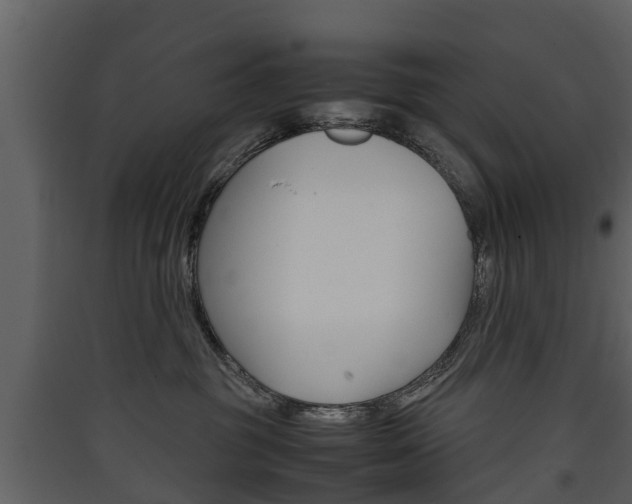 X0000090410381200707130930