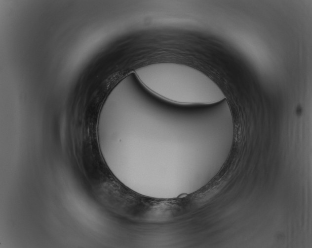 X0000090410382200707130930
