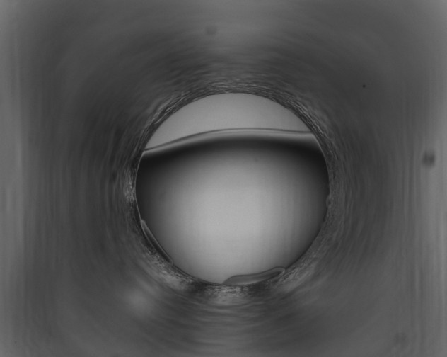X0000090410384200707130930
