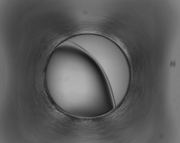 X0000090410385200707130930