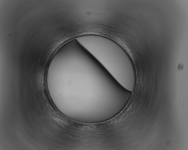 X0000090410386200707130930