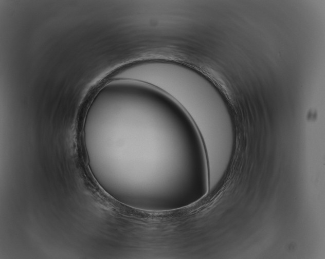 X0000090410388200707130930