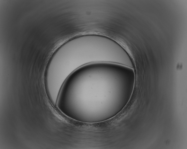 X0000090410389200707130930