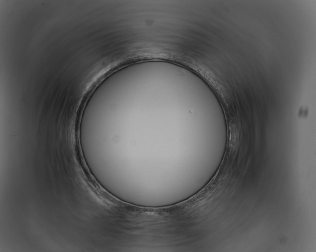 X0000090410390200707130930
