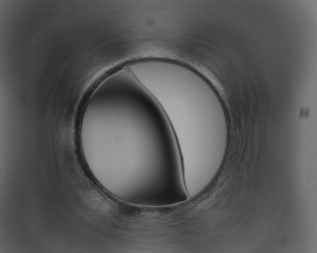 X0000090410391200707130930