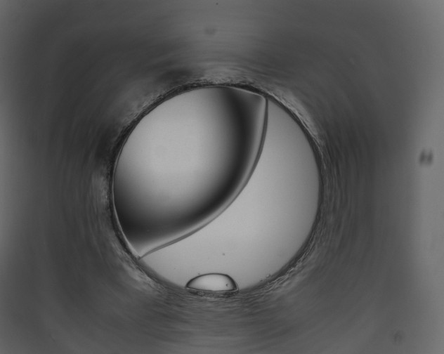 X0000090410393200707130930