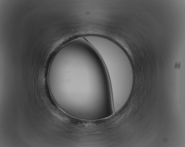 X0000090410395200707130930