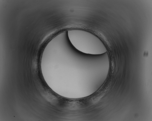 X0000090410396200707130930