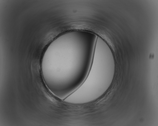 X0000090410397200707130930