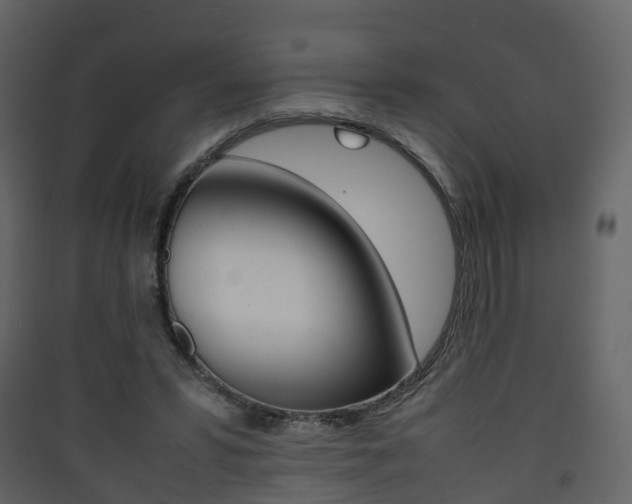 X0000090410399200707130930