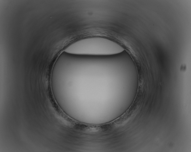 X0000090410402200707130930