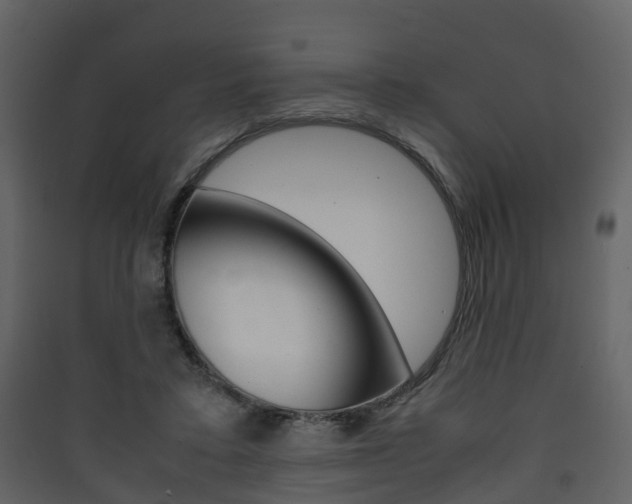 X0000090410403200707130930