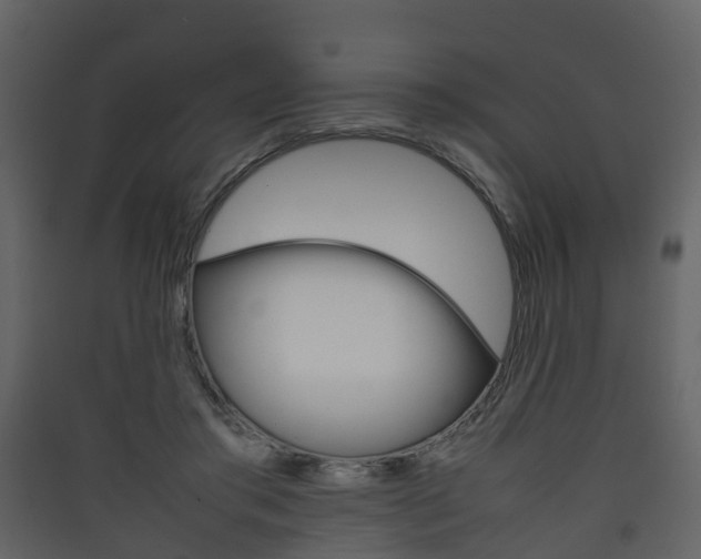X0000090410405200707130930