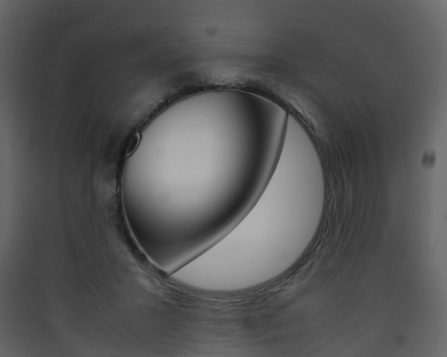 X0000090410407200707130930