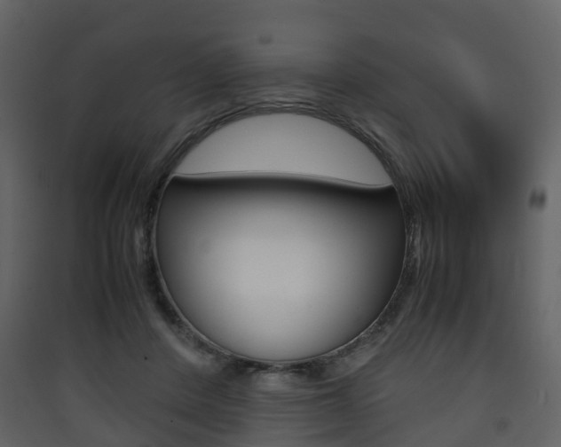 X0000090410408200707130930