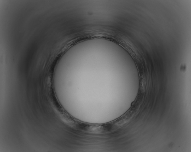 X0000090410410200707130929