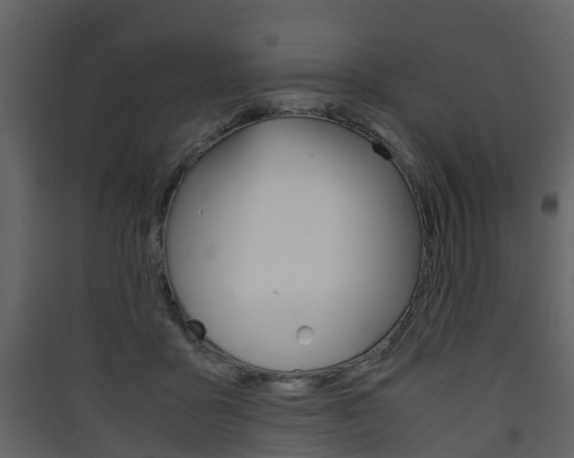 X0000090410411200707130929