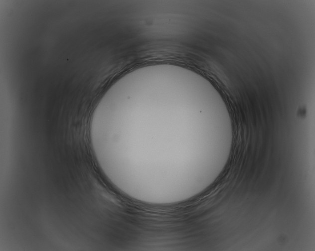 X0000090410412200707130929