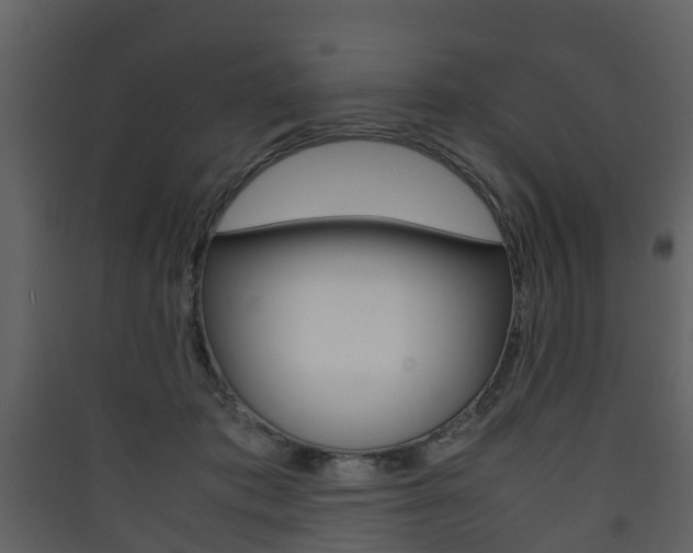 X0000090410413200707130929