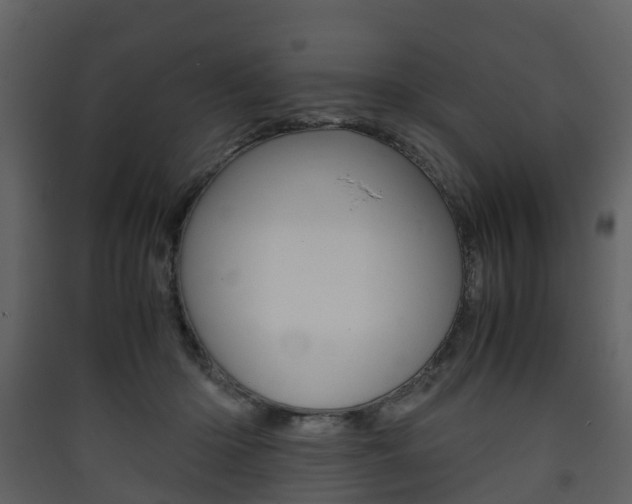 X0000090410414200707130929