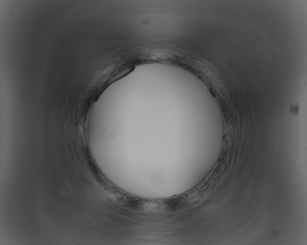 X0000090410415200707130929