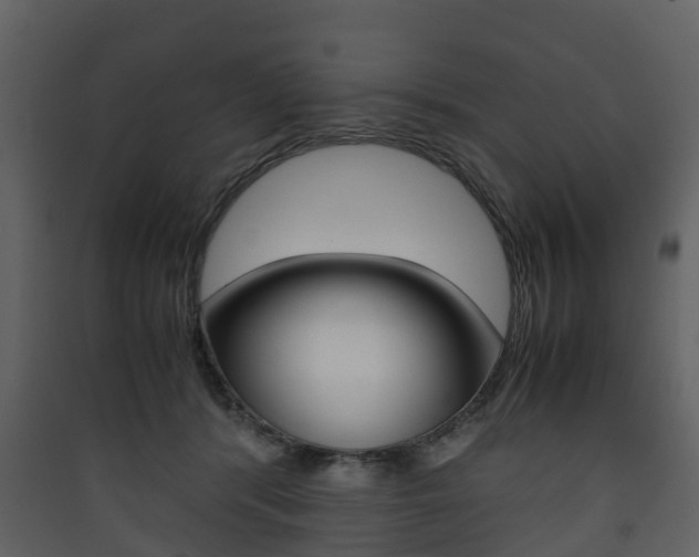 X0000090410416200707130929