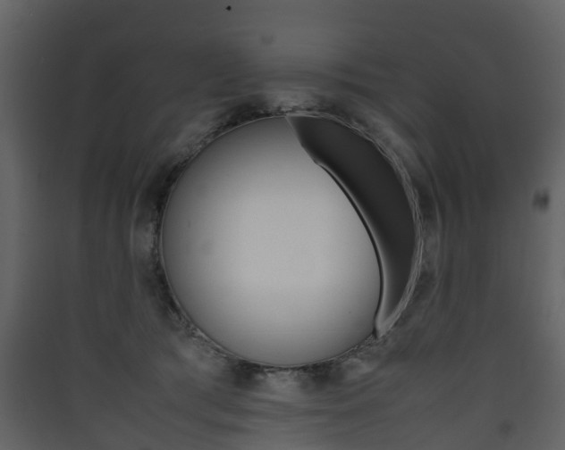 X0000090410417200707130929