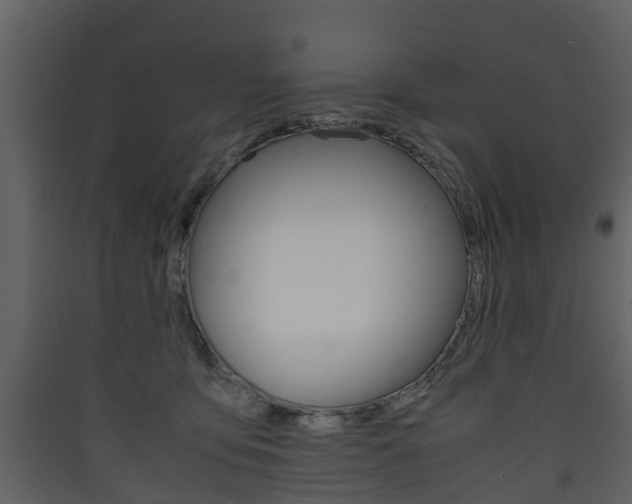 X0000090410419200707130929
