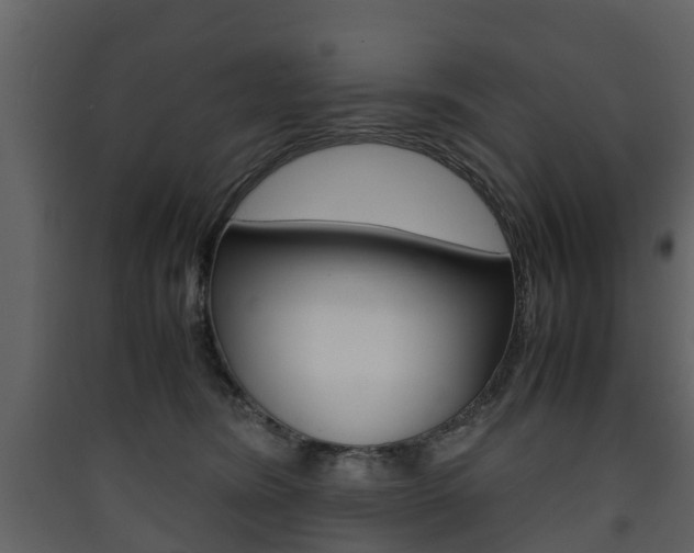 X0000090410420200707130929