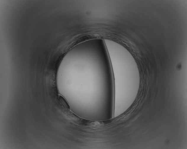 X0000090410421200707130929