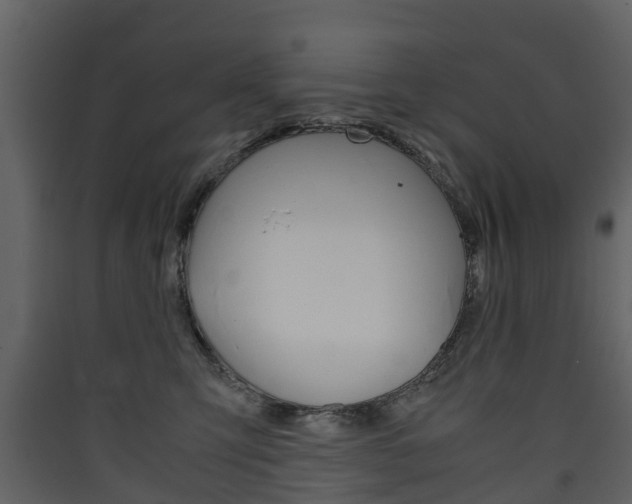 X0000090410423200707130929
