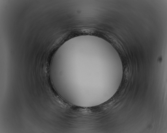 X0000090410424200707130929