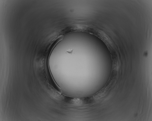 X0000090410425200707130929