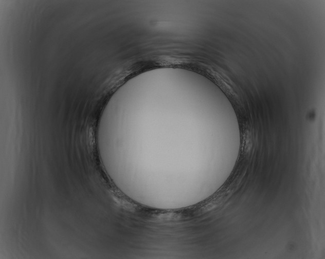 X0000090410426200707130929