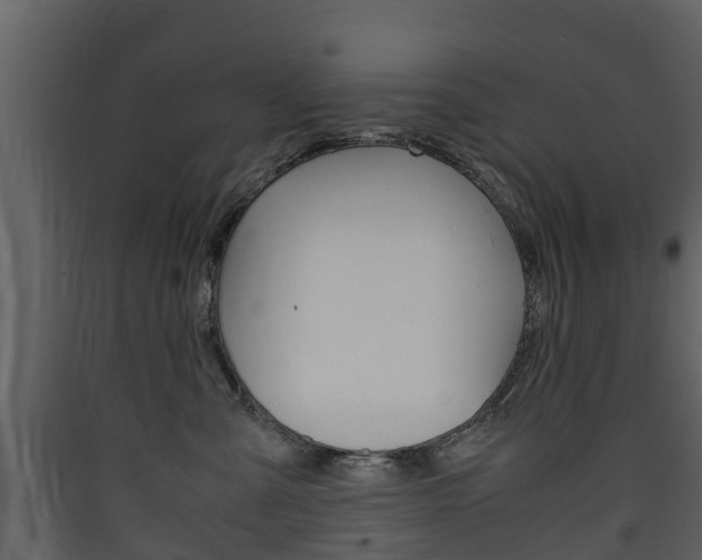 X0000090410427200707130929