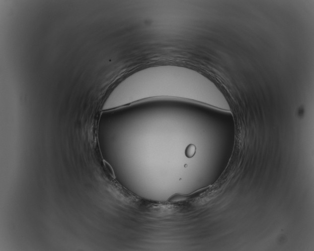 X0000090410428200707130929
