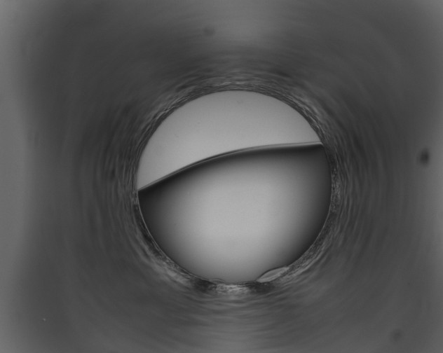 X0000090410429200707130929